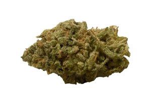 420 Evolution 30/1 FLM CA